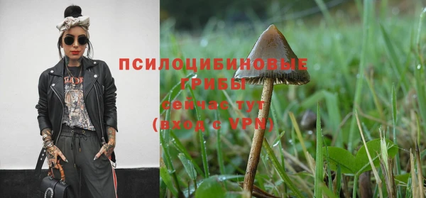 ECSTASY Волоколамск